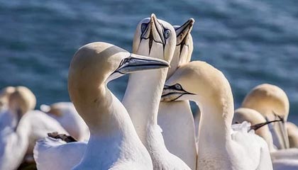 浙BA城市争霸赛精彩集锦：宁波队59-52力克普陀队