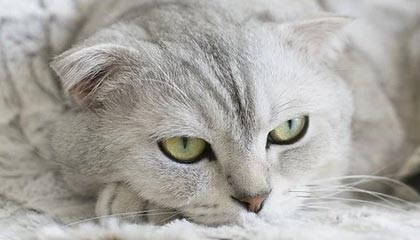 华体会体育中国官方网-熊猫体育：用运动点亮孩子的成长与家庭的温度